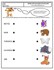 okul öncesi kavram gelişim çalışmaları, renk kavramı, renkleri eşleştir çalışmaları